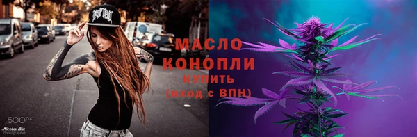 индика Заволжье
