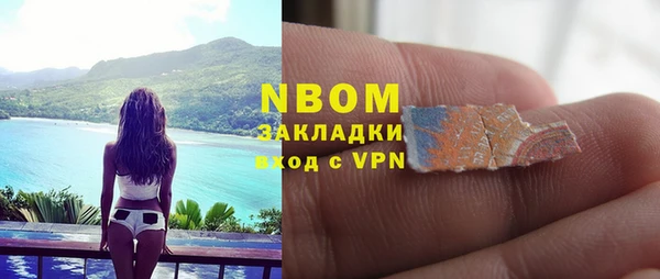 индика Заволжье