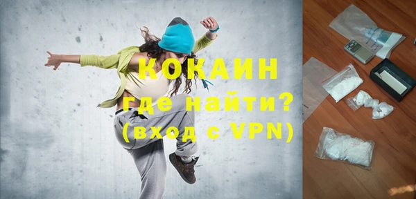 индика Заволжье