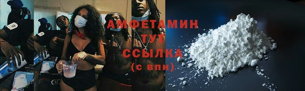 индика Заволжье