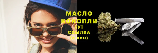 индика Заволжье