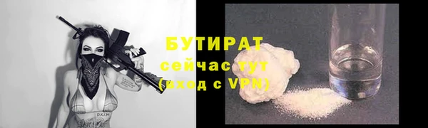 индика Заволжье