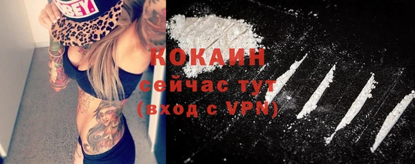 мескалин Заводоуковск