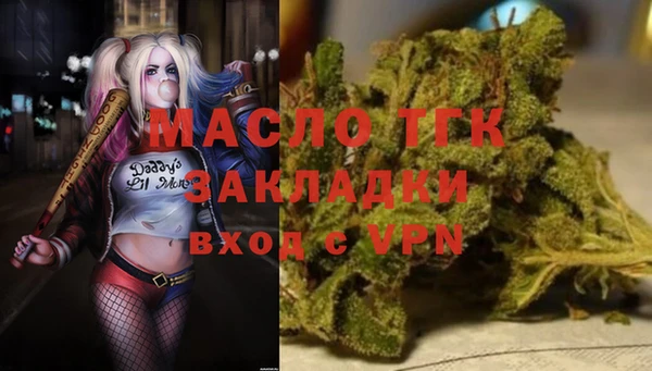 индика Заволжье