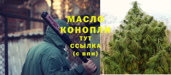 индика Заволжье
