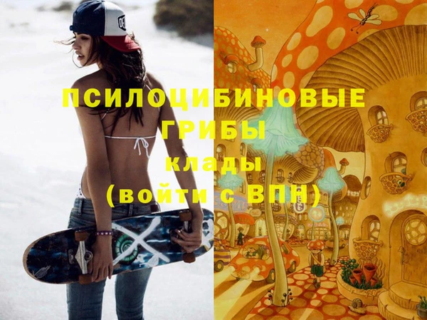 ПСИЛОЦИБИНОВЫЕ ГРИБЫ Заволжск