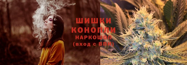 мескалин Заводоуковск