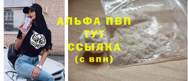 индика Заволжье